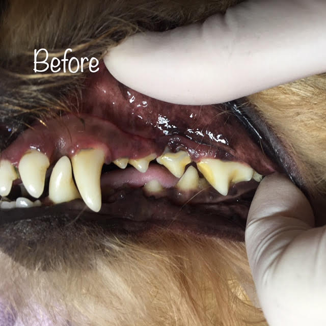 Before Before