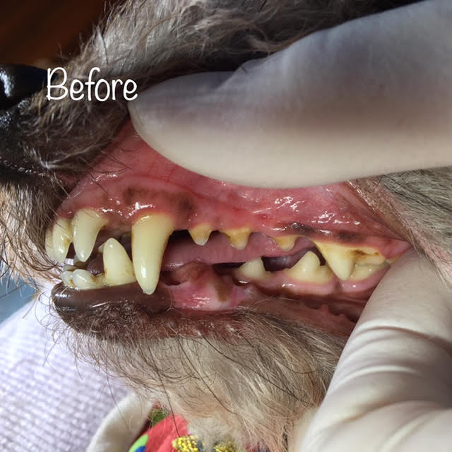 Before Before