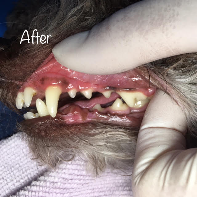 After After