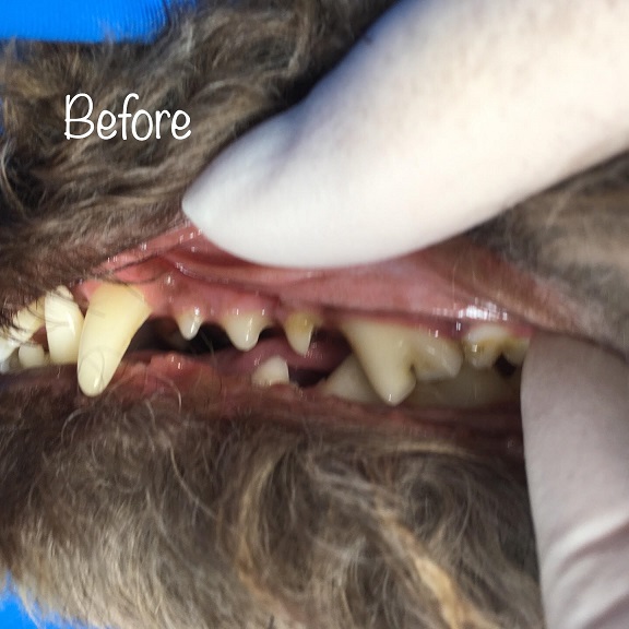 Before Before