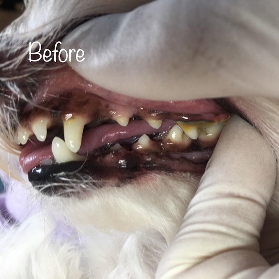 Before Before