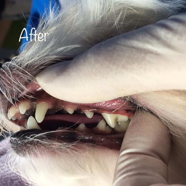 After After