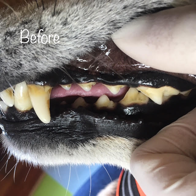 Before Before