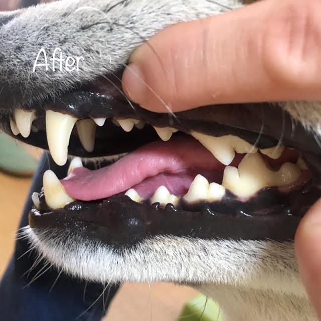 After After