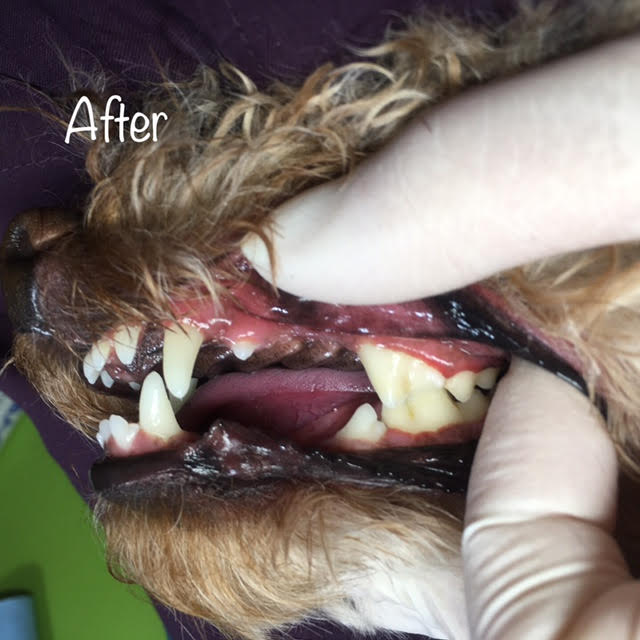 After After