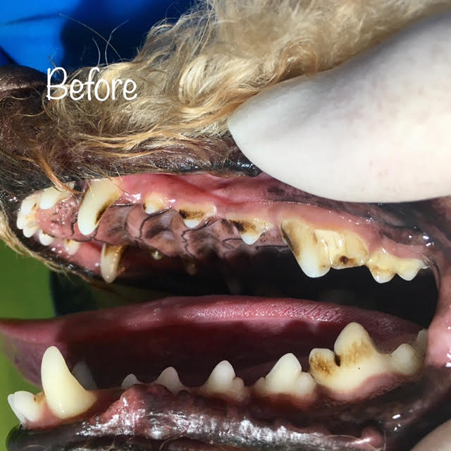 Before Before
