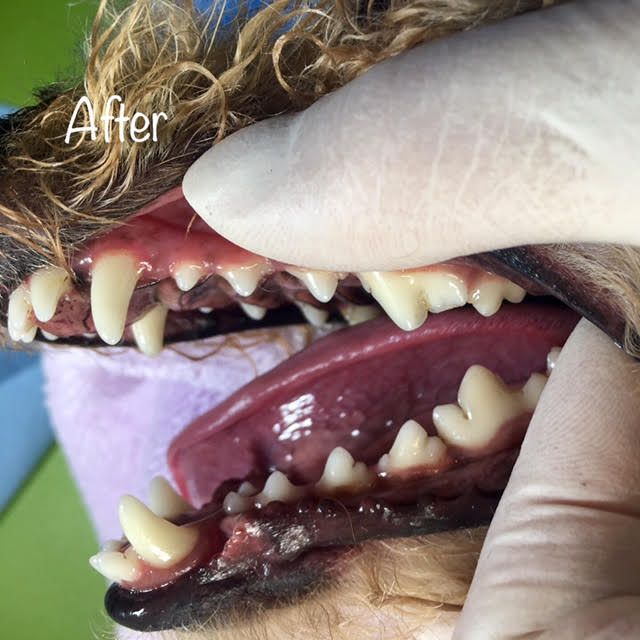 After After