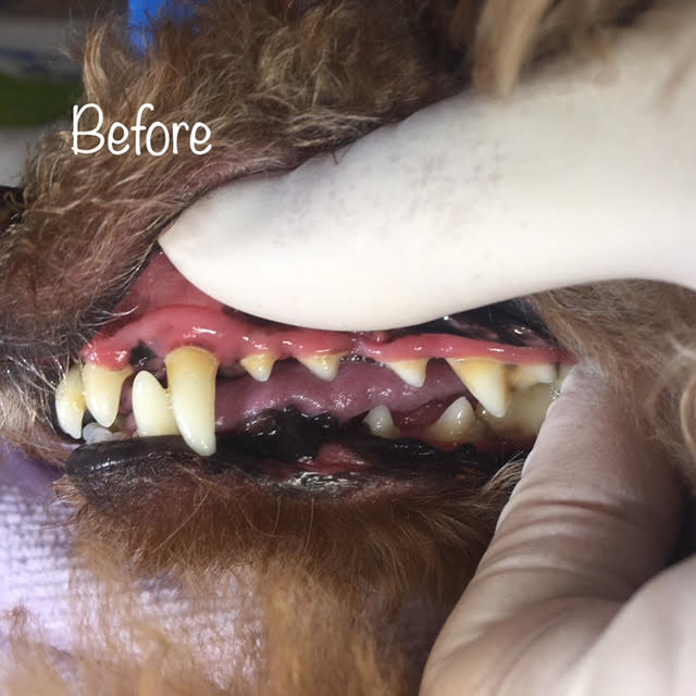 Before Before