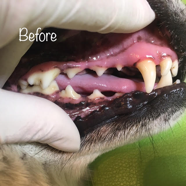 Before Before