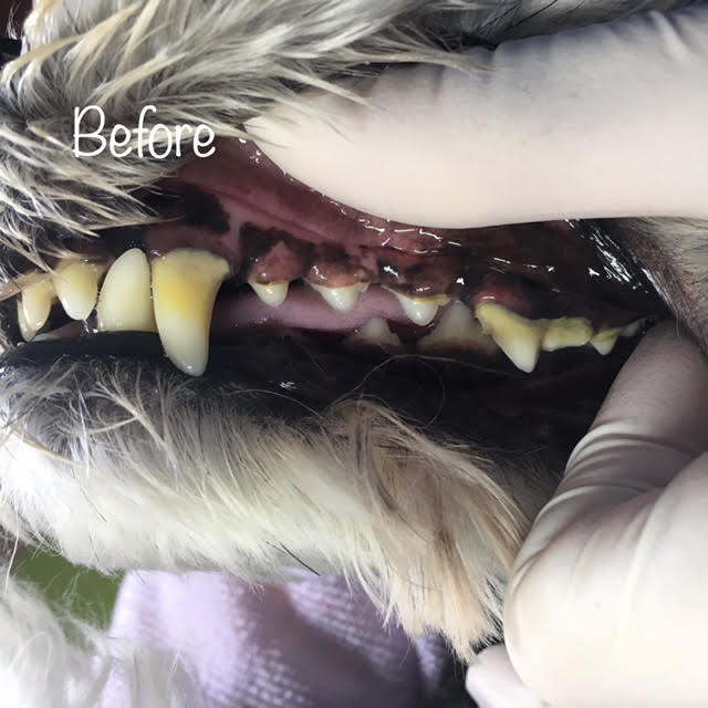 Before Before