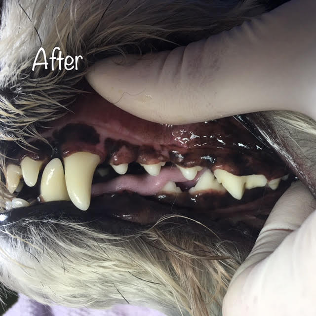 After After