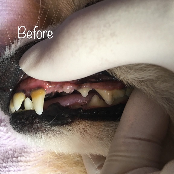 Before Before