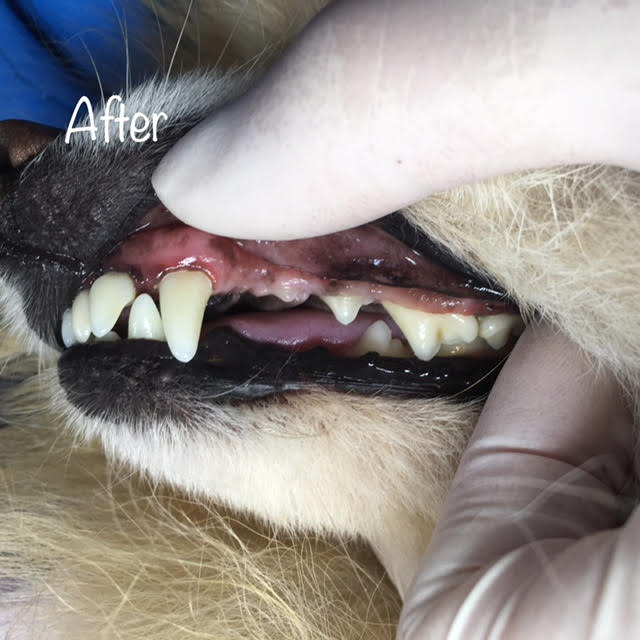 After After