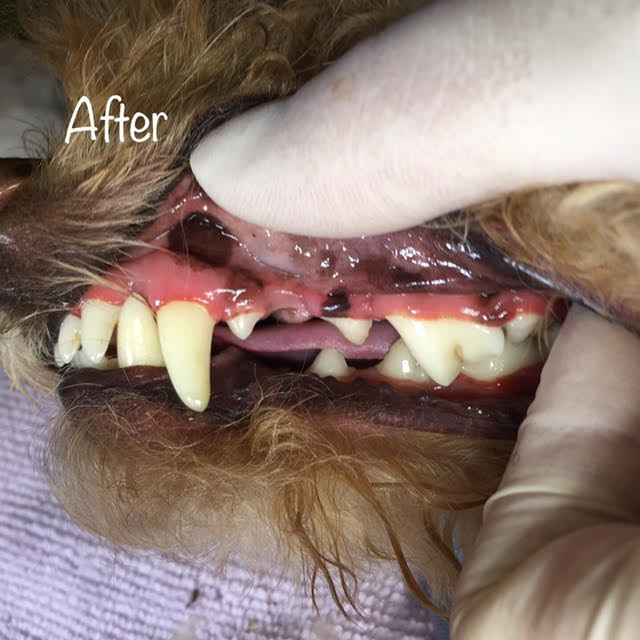 After After