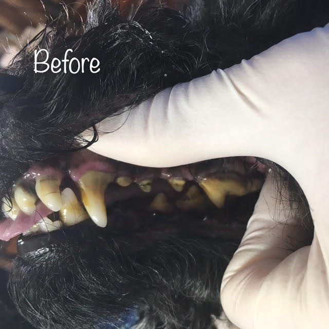 Before Before