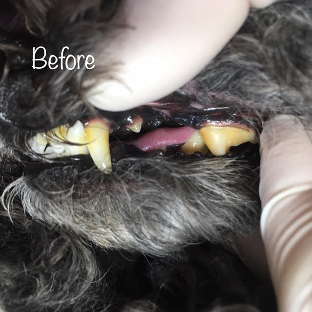 Before Before
