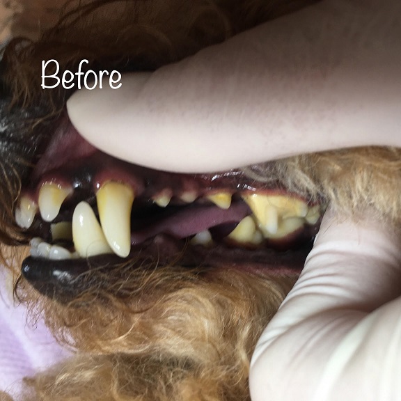 Before Before