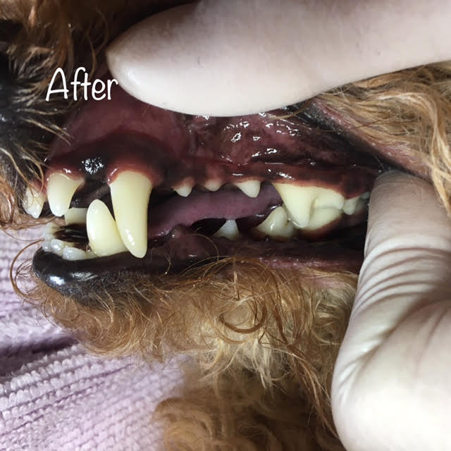After After