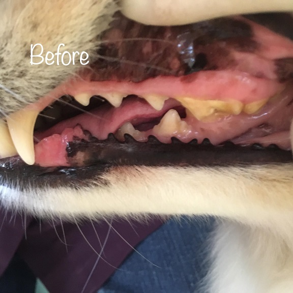 Before Before