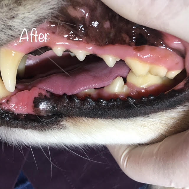 After After