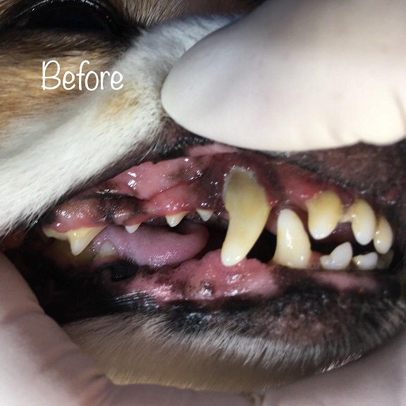 Before Before