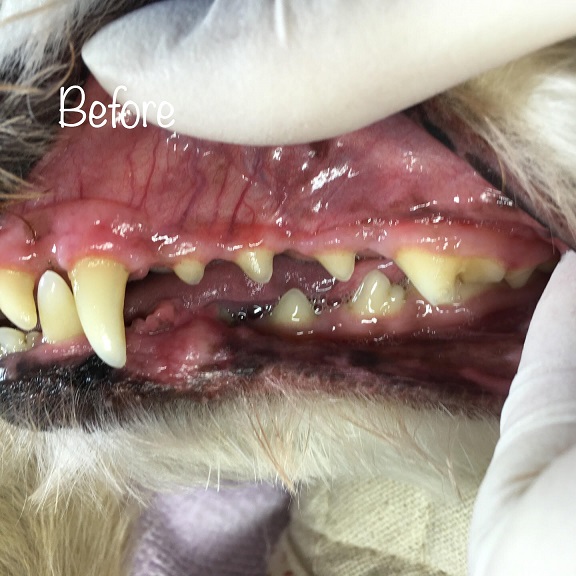 Before Before