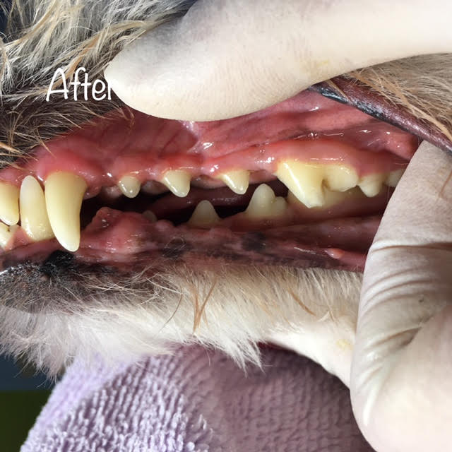 After After