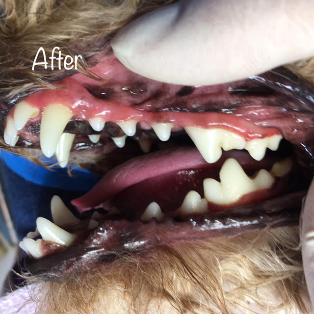 After After