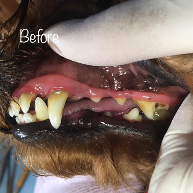 Before Before