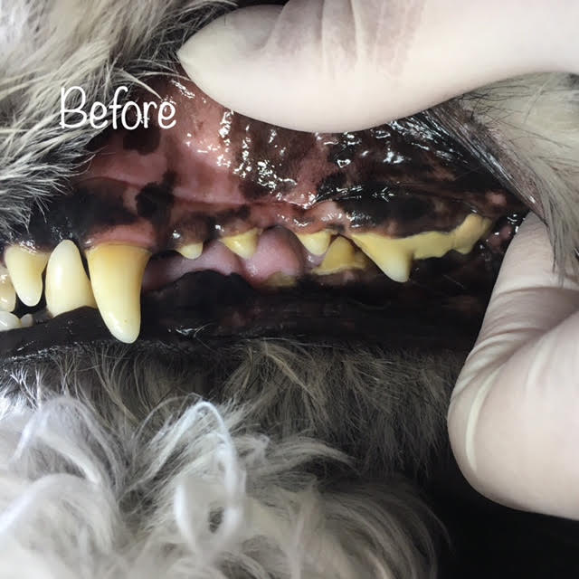 Before Before