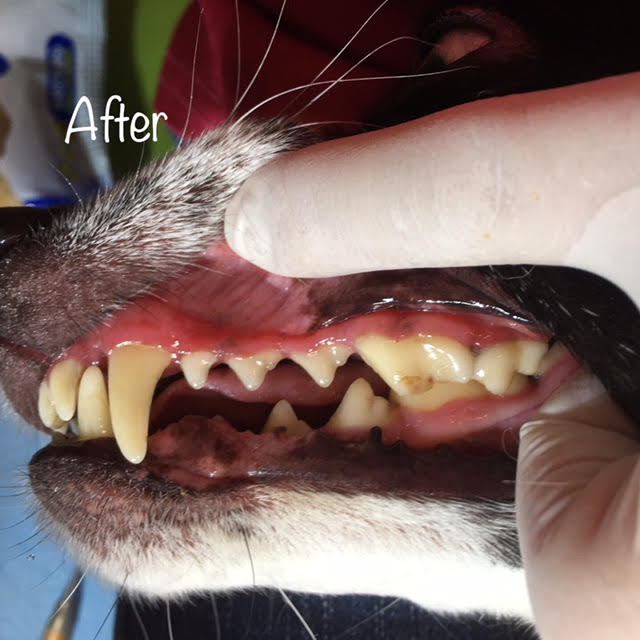 After After