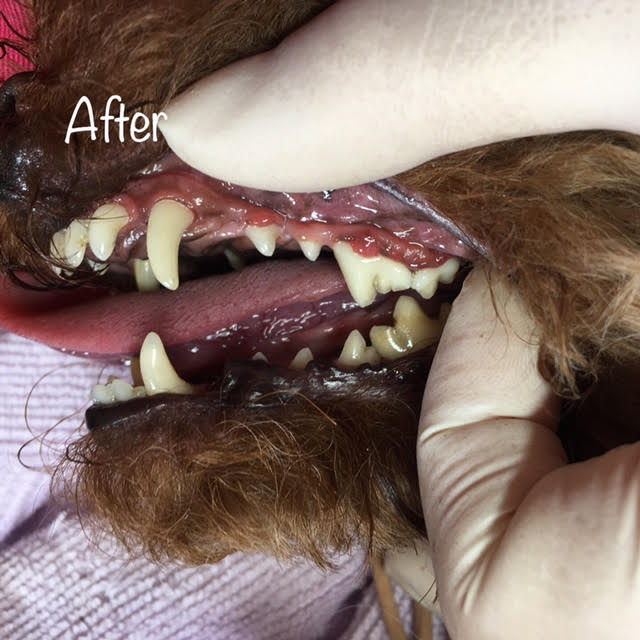 After After