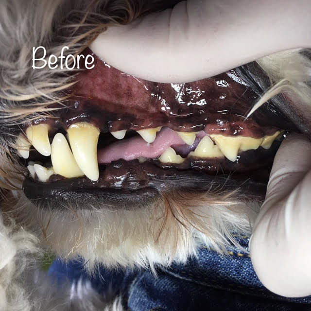 Before Before