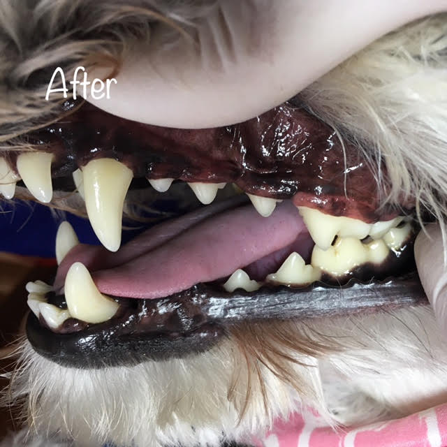 After After