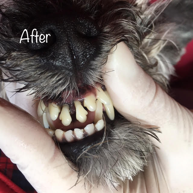 After After