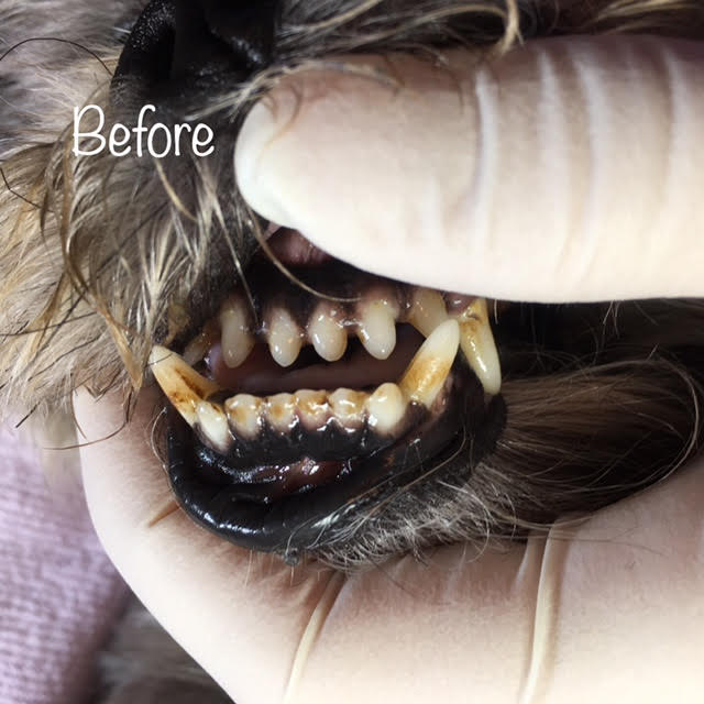 Before Before
