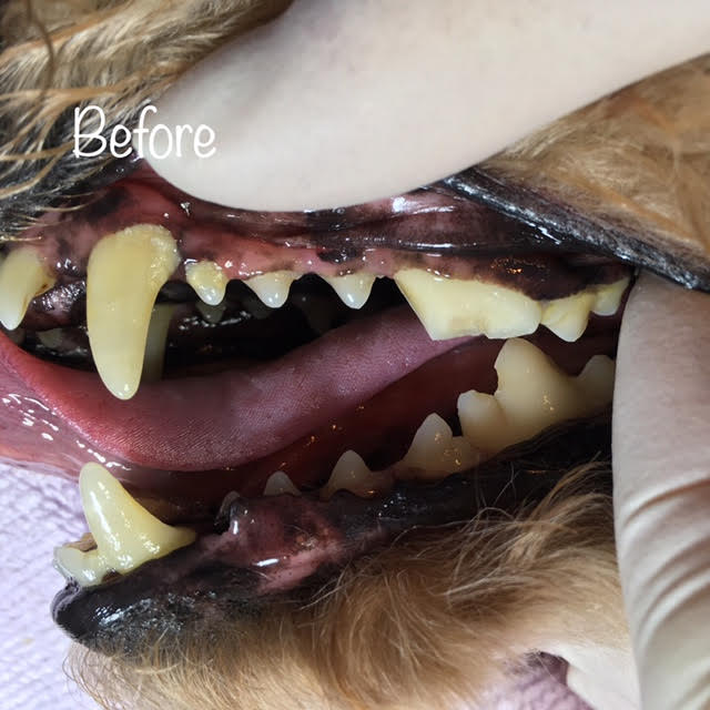 Before Before