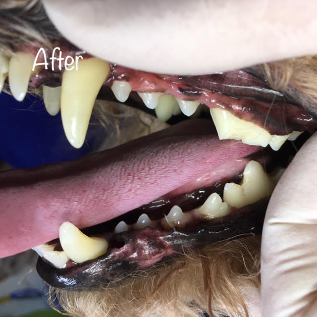After After