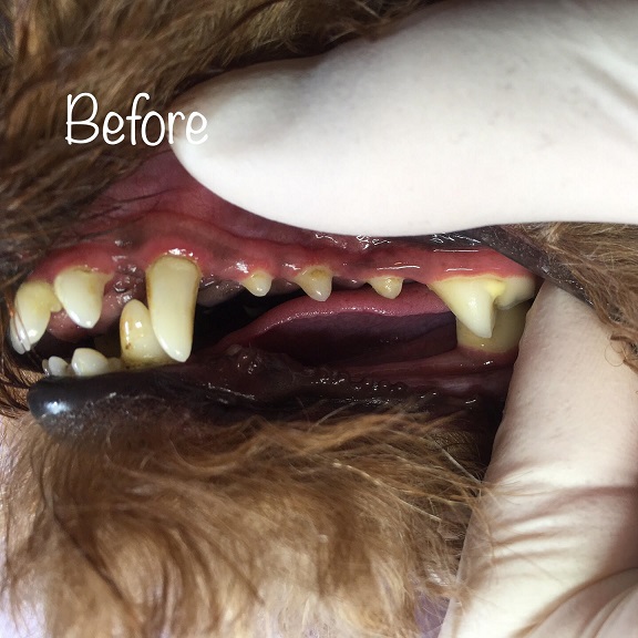 Before Before