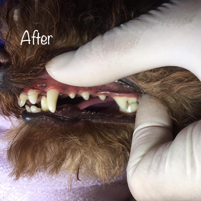 After After