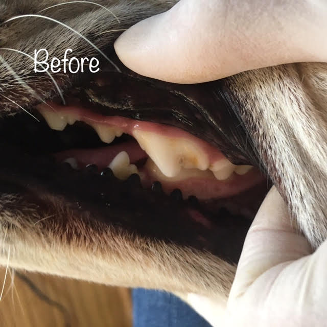 Before Before