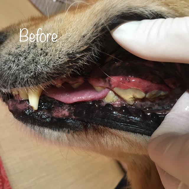 Before Before