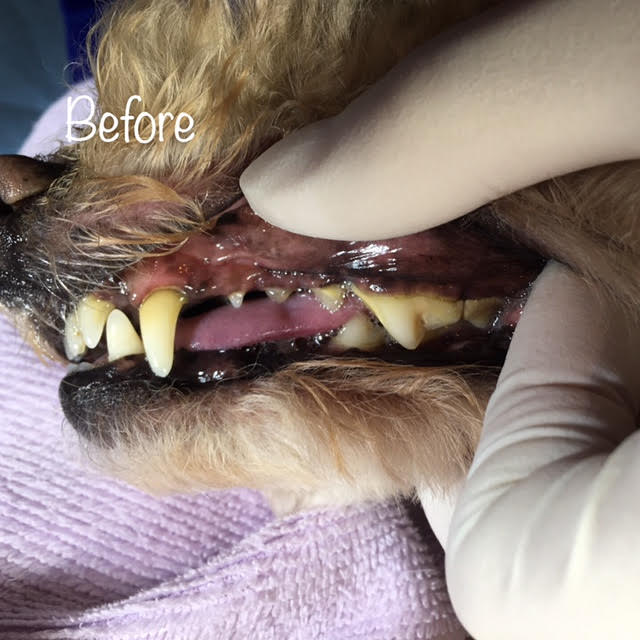 Before Before
