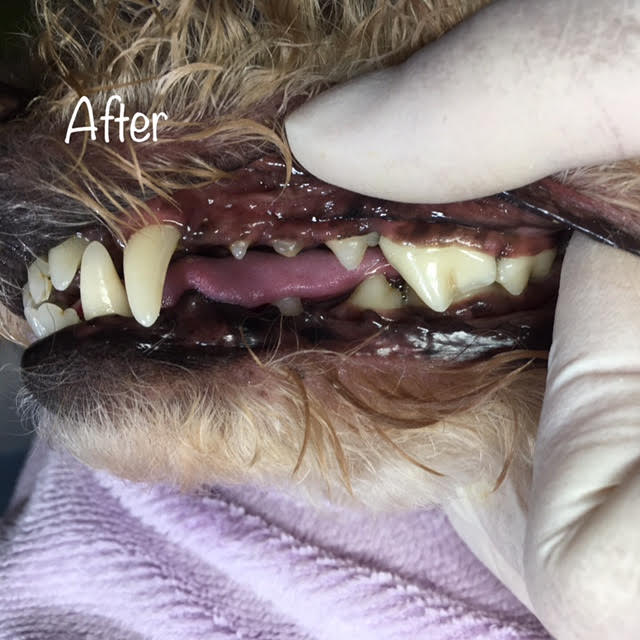 After After