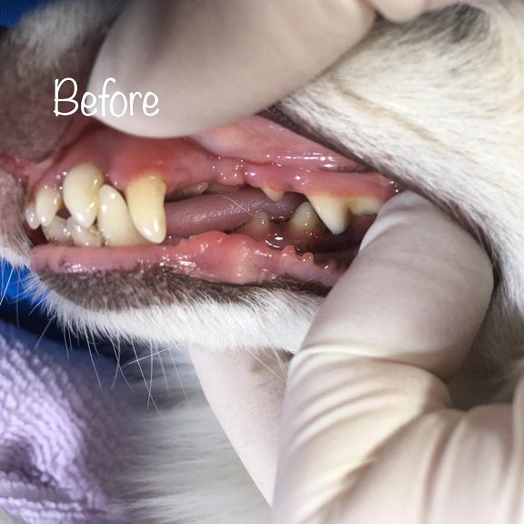 Before Before
