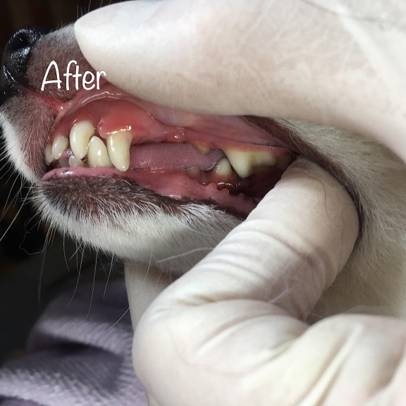 After After