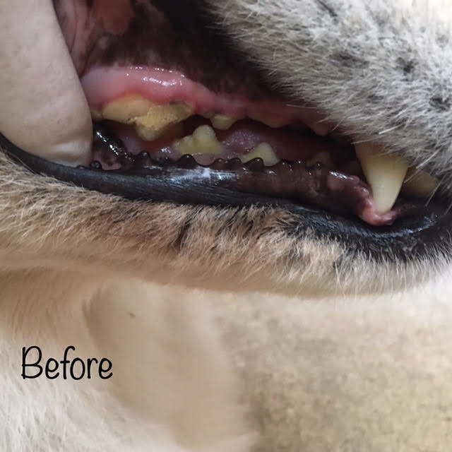 Before Before
