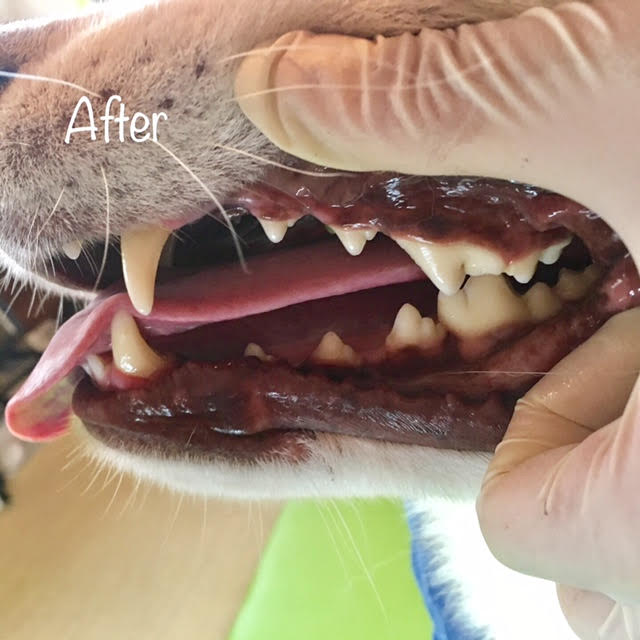After After