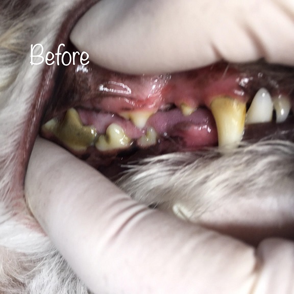 Before Before
