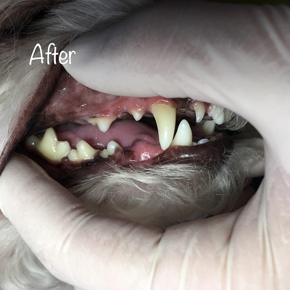 After After